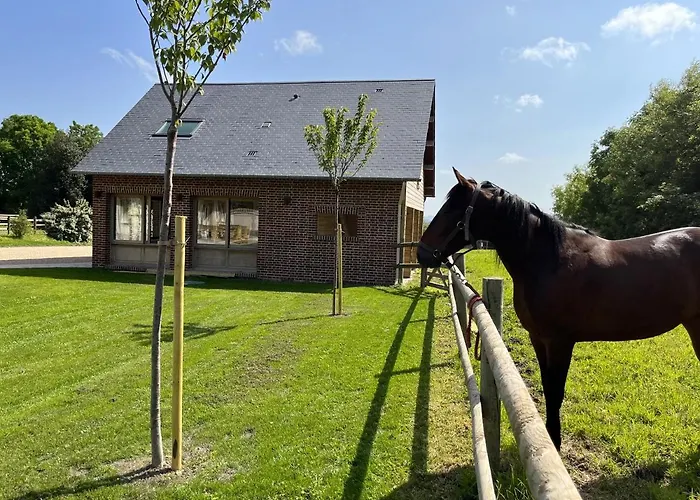 Le Terrier Holiday home *